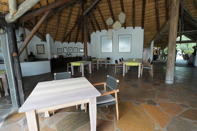 Onguma Forest Camp Etosha National Park restaurent bar