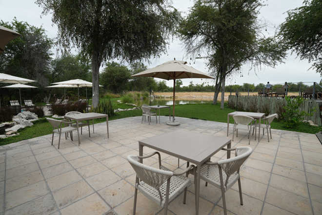 Onguma Forest Camp Etosha National Park restaurent bar