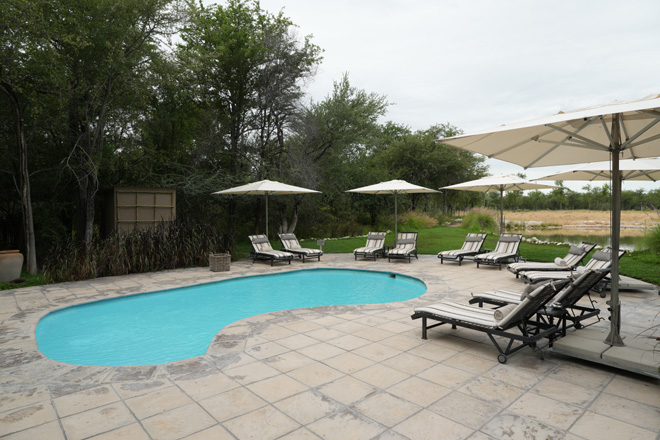 Onguma Forest Camp Etosha National Park restaurent bar