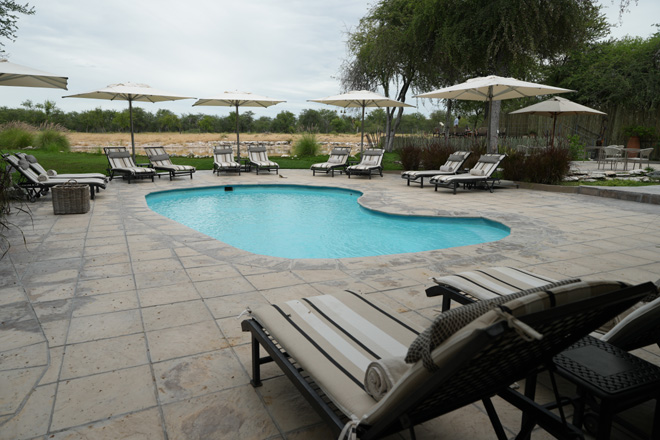 Onguma Forest Camp Etosha National Park restaurent bar