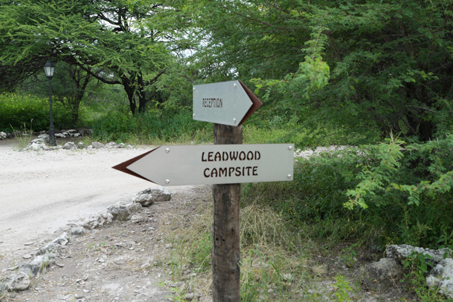 Onguma Leadwood Camp Etosha National Park