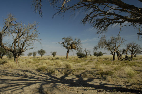 namibia_holiday_10