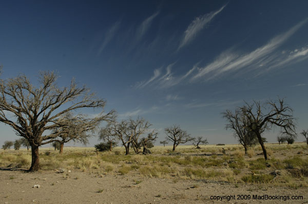 namibia_holiday_11
