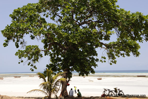 zanzibar_holiday_02