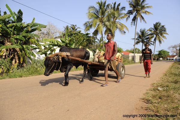 zanzibar_holiday_09