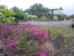 Bougainvilla Bed and Breakfast