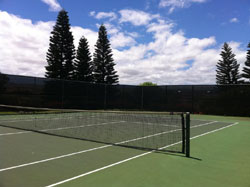 Paniolo Greens Resort