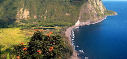 Waipio Wayside Bed And Breakfast Inn