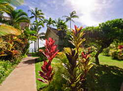 Kapaa Sands