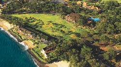 Aston Maui Lu