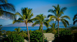 Hotel Wailea Maui