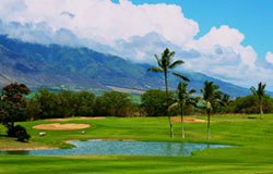 Maui Beach Hotel