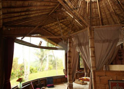 Maui Eco Retreat