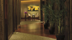 The Ritz-Carlton
