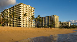 The Whaler Vacation Rental