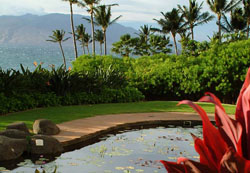 Wailea Beach Marlott Resort and Spa