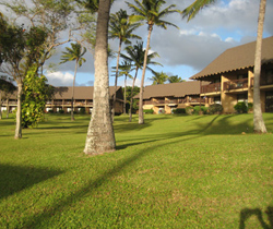 1-A-1 Molokai Condo