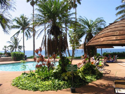 Molokai Dreams Oceanview Condo