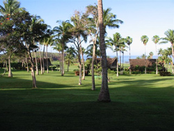 Molokai Dreams Oceanview Condo