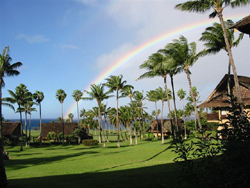 Molokai Dreams Oceanview Condo