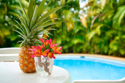 Pillows in Paradise