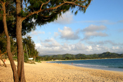 Pillows in Paradise