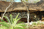 KwaMbili Lodge Thornybush South Africa Kruger Park