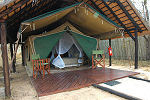 Tented accommodation in kruger thornybush reserve