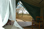 KwaMbili Lodge Thornybush South Africa Kruger Park