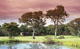 Sabi Kruger Park