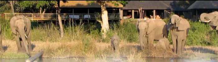 Sabi Sabi Bush Lodge Sabi Sands Kruger National Park