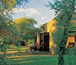 Sabi Sabi Bush Lodge Sabi Sand South Africa Kruger Park