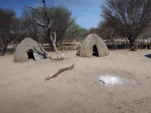 Botswana Guide