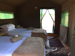 Madisa Camp