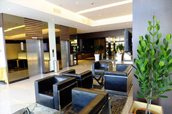 D Hotel