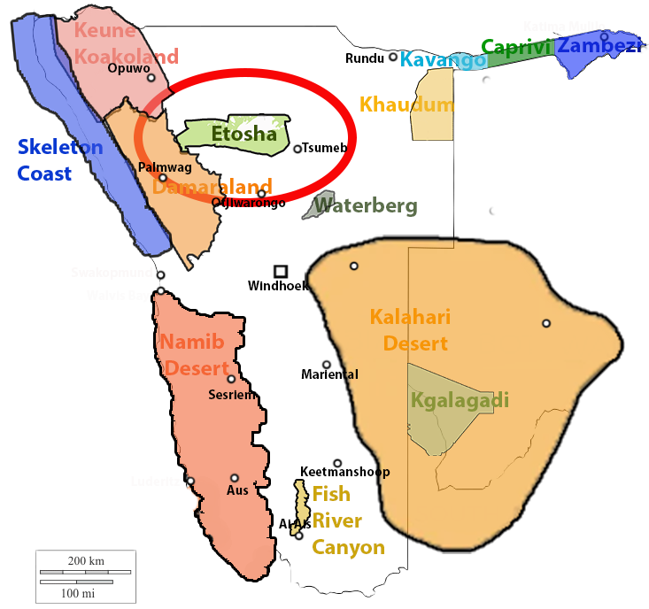 Map of Namibia showing Etosha's location relative to Windhoek, Swakopmund, Tsumeb and the main regions