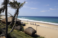 Guinjata bay and coconut beach are great getaways for fishing diving and relaxing