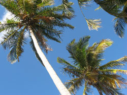 Areia Branca Lodge Barra