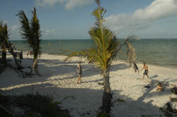 Baobab Lodge Mozambique