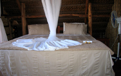 Casas Delight Mozambique