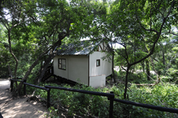 Phaphalati Forest Chalets