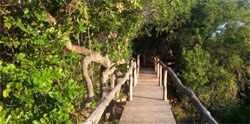 Travessia Beach Lodge