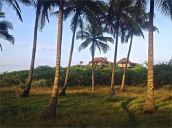 Travessia Beach Lodge