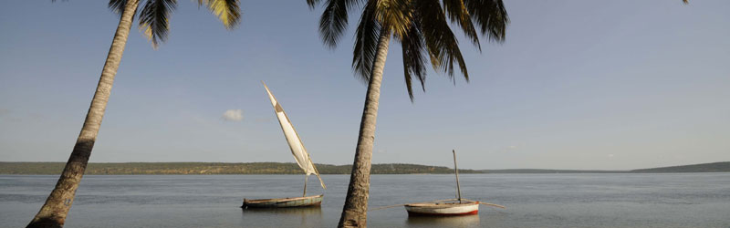 Africa and Indian Ocean Islands