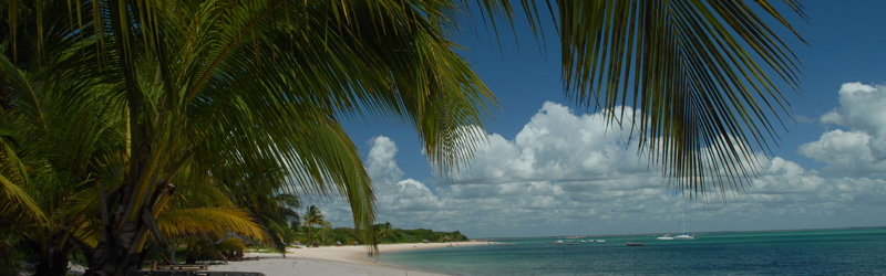 Medjumbe Island Resort in the Quirimbas Archipelago Mozambique