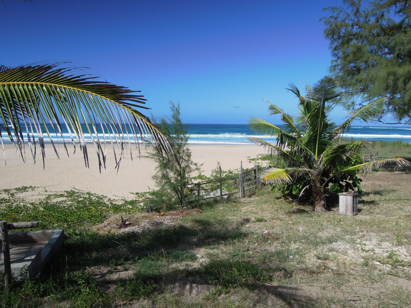 Phtograph of Mozambique