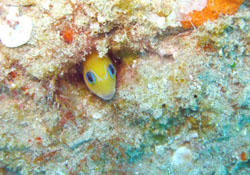 Paradise Beach Lodge Mozambique