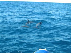 Paradise Beach Lodge Mozambique