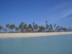 Chuiba Palms Beach Villas Pemba Mozambique Hotels And Accommodation In Chuiba Palms Beach Villas Pemba Mozambique Hotels And Accommodation In