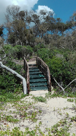 Moya Eco Lodge Ponta Mamoli